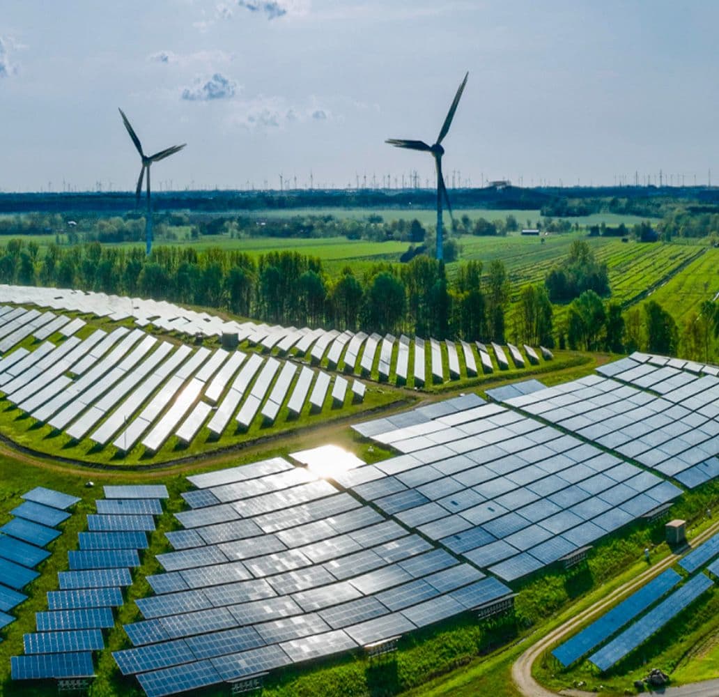 Field with solar panels